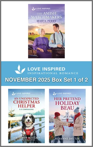 Love Inspired November 2025 Box Set