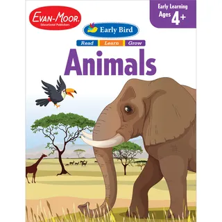 Early Bird Animals