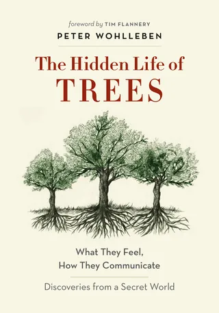 Hidden Life of Trees