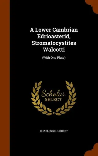 A Lower Cambrian Edrioasterid Stromatocystites Walcotti