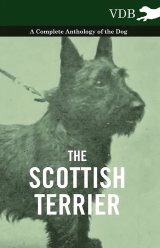 The Scottish Terrier