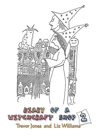 Diary of a Witchcraft Shop 2