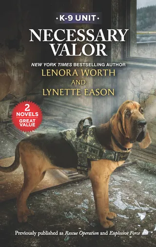 Necessary Valor / Rescue Operation / Explosive Force