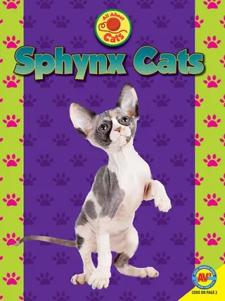 Sphynx Cats