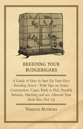 Breeding Your Budgerigars