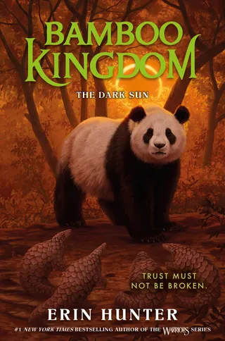 The Dark Sun