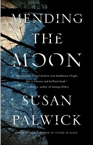 Mending the Moon