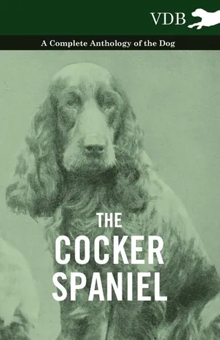 The Cocker Spaniel