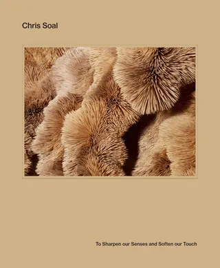 Chris Soal