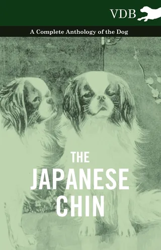The Japanese Chin