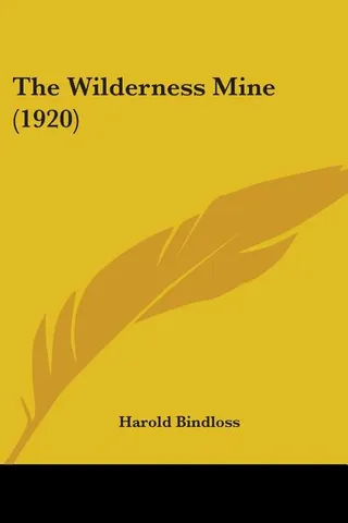 The Wilderness Mine 1920