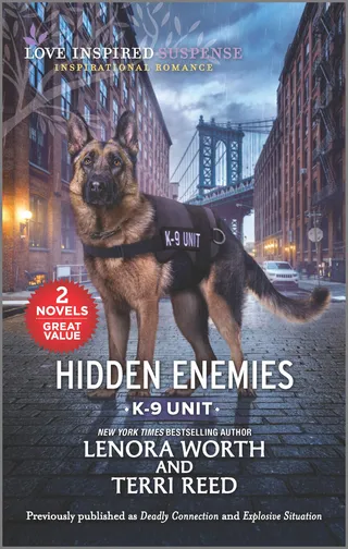 Hidden Enemies / Deadly Connection / Explosive Situation