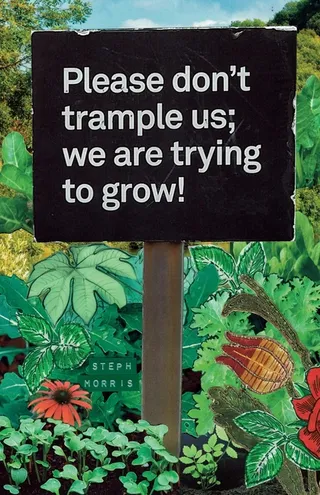 Please Don't Trample Us; We Are Trying to Grow