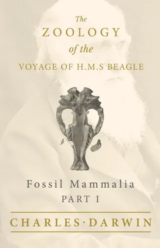 Fossil Mammalia