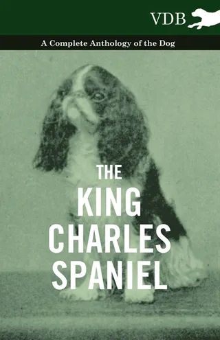 The King Charles Spaniel