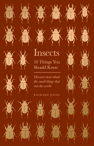 Insects