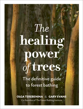 Healing Power of Trees