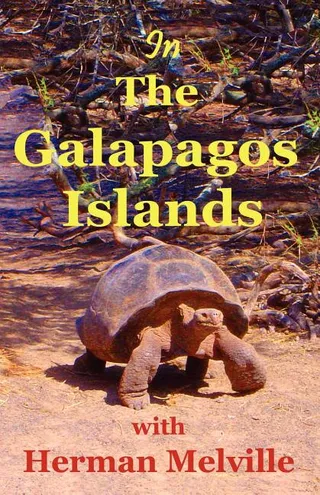 The Encantadas or Enchanted Isles