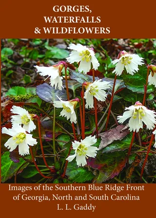 Gorges, Waterfalls & Wildflowers