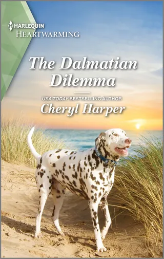 Dalmatian Dilemma