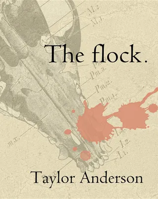 Flock