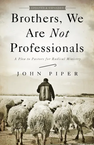 Brothers, We Are Not Professionals