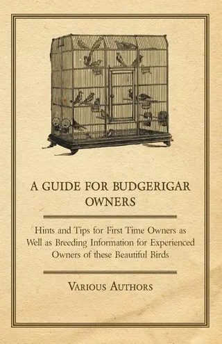 A Guide for Budgerigar Owners