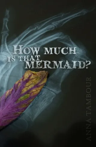 How much is that mermaid?