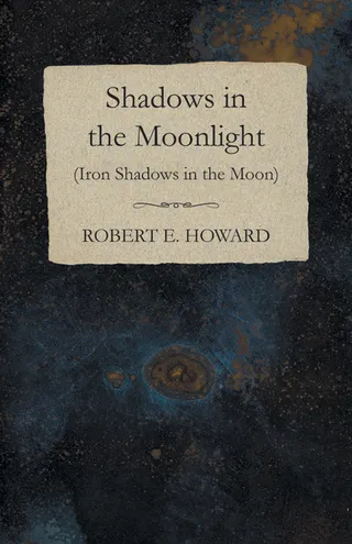 Iron Shadows in the Moon