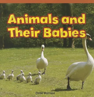 Animals and Their Babies