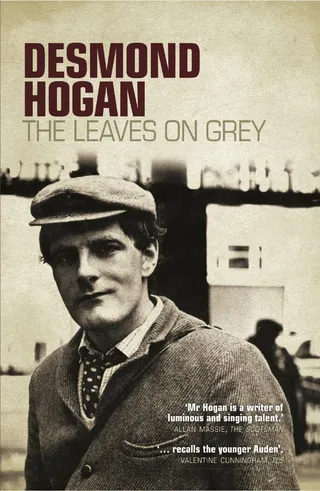 Leaves on Grey