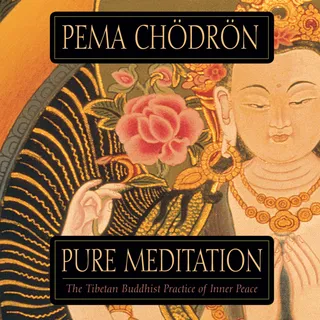 Pure Meditation