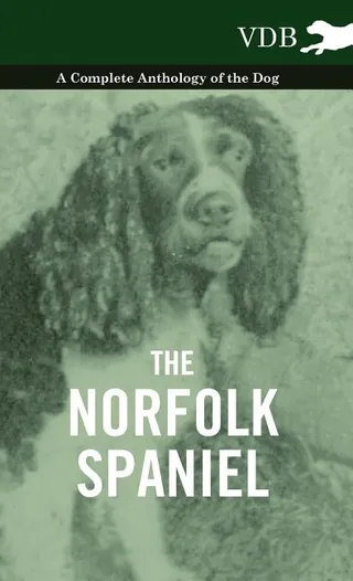 The Norfolk Spaniel