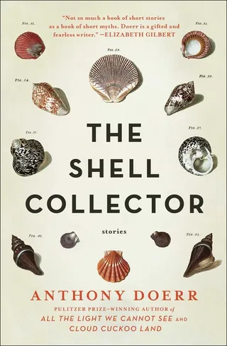 The Shell