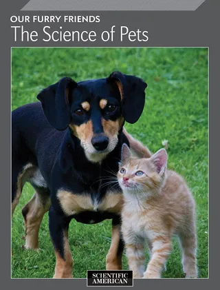Our Furry Friends