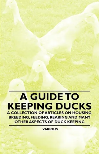 A Guide to Keeping Ducks