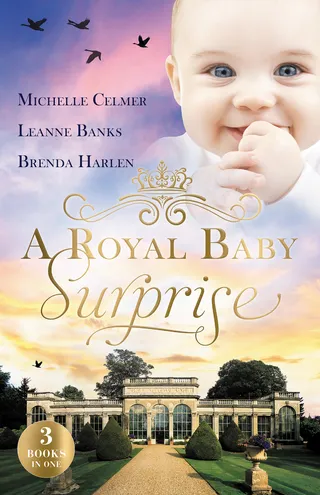 The Illegitimate Prince's Baby
