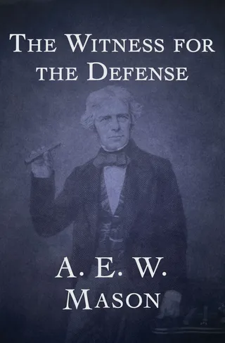 Witness for the Defense