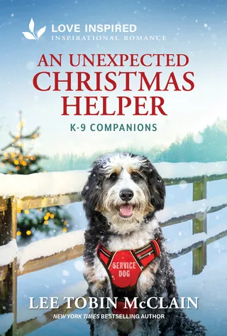 Unexpected Christmas Helper
