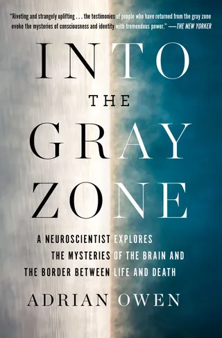 Into the Gray Zone