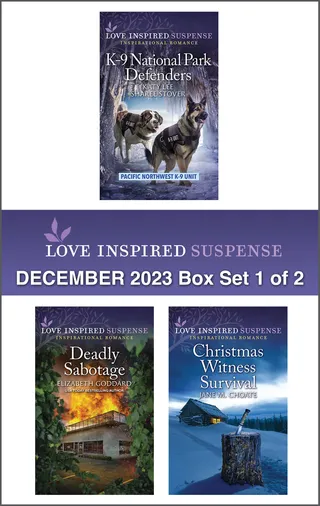 Yuletide Ransom / Holiday Rescue Countdown / Deadly Sabotage / Christmas Witness Survival