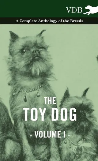 The Toy Dog