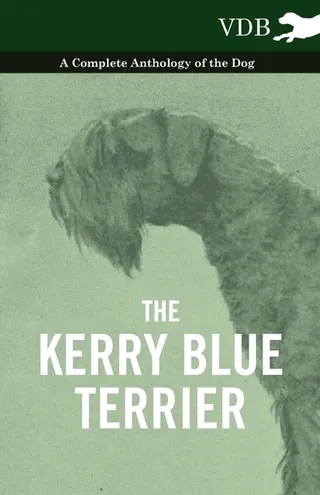 The Kerry Blue Terrier