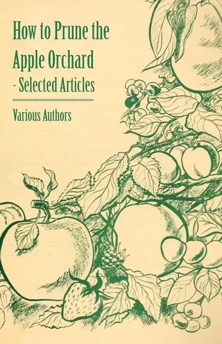 How to Prune the Apple Orchard