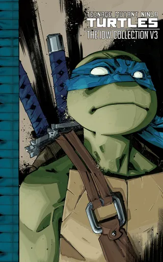 Teenage Mutant Ninja Turtles Volume 3