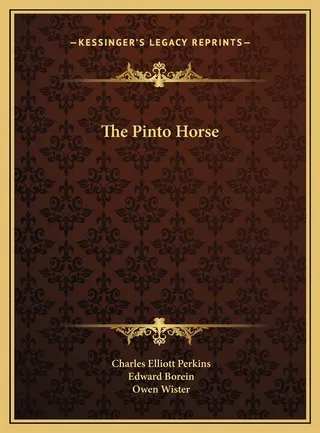 The Pinto Horse