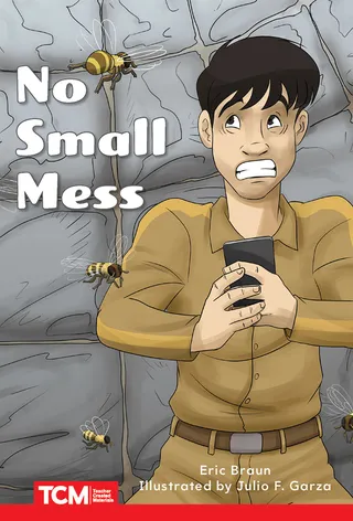 No Small Mess