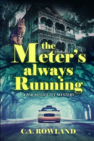 The Meter's Always Running