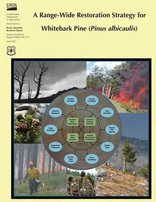 A Range-Wide Restoration Strategy for Whitebark Pine Pinus Albicaulis