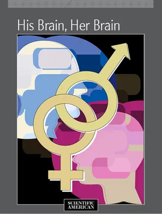 His Brain, Her Brain